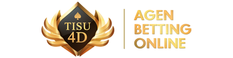 TISU4D Logo